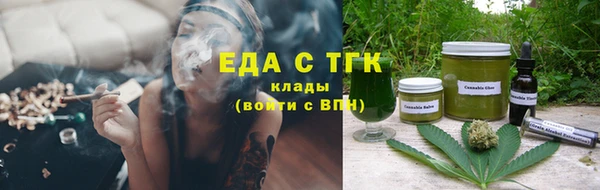 дживик Бородино
