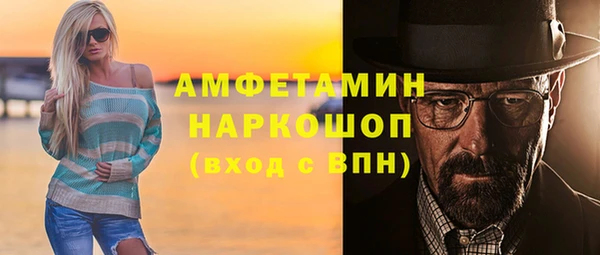 дживик Бородино