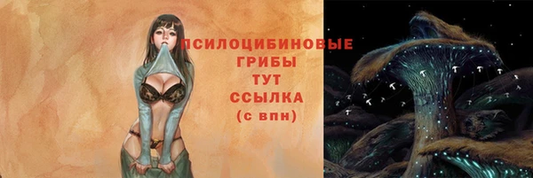 гидра Верхнеуральск
