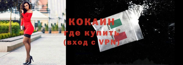 дживик Бородино