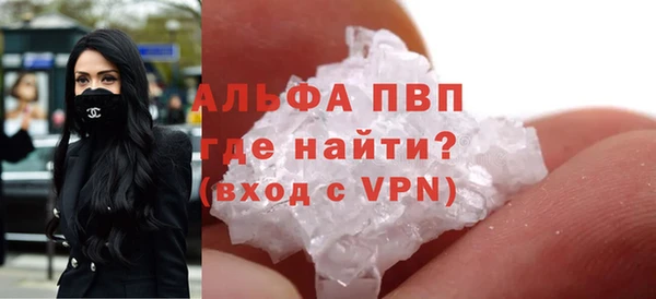 дживик Бородино