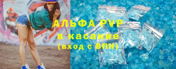 дживик Бородино