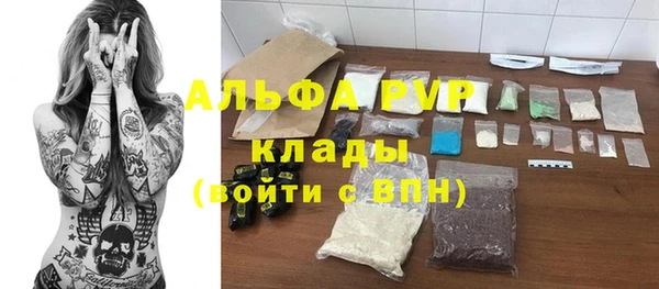 СК Медвежьегорск